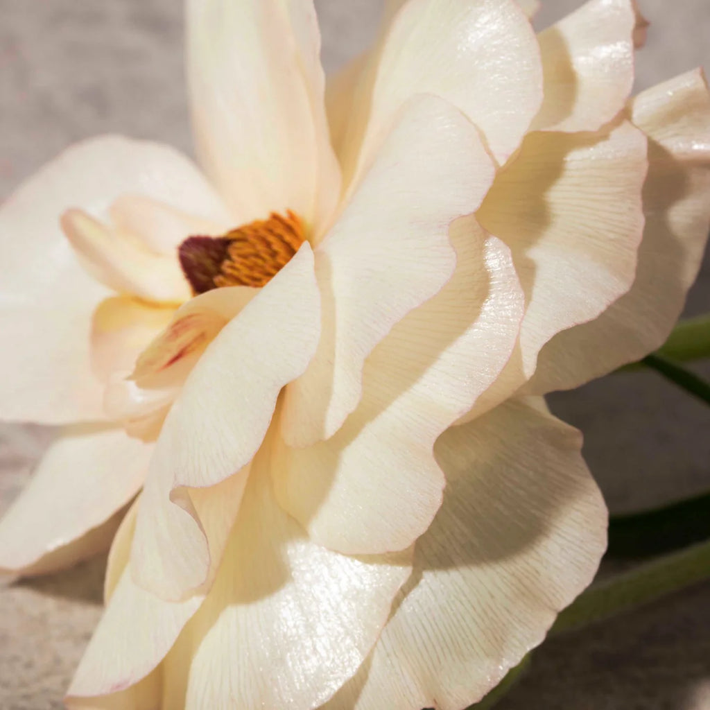 Burberry Her Eau de Parfum